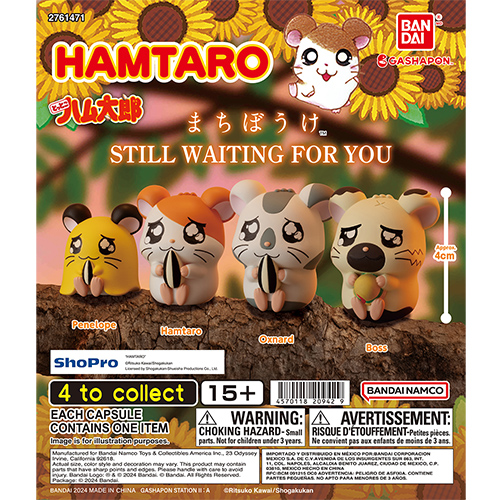 hamtaro