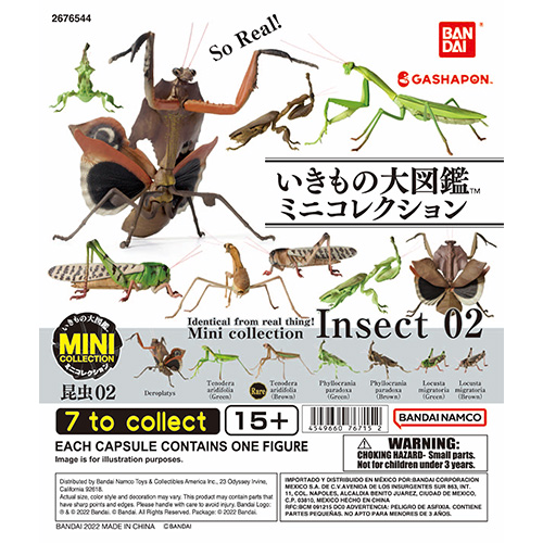 MINI COLLECTION INSECT 02