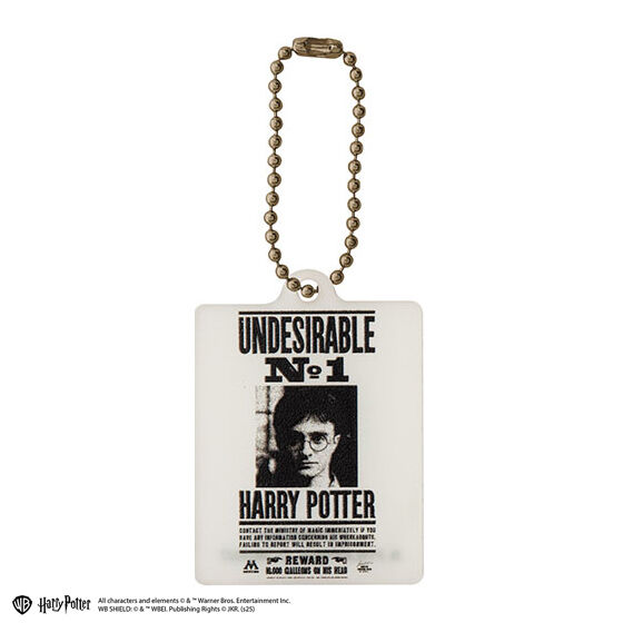 harry_potter_acrylic_charm_collection