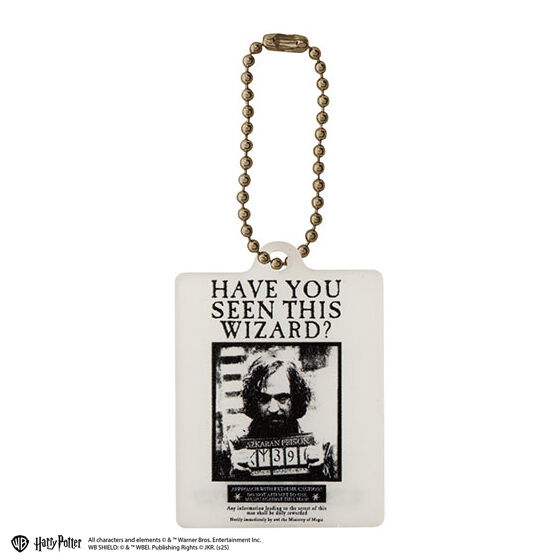 harry_potter_acrylic_charm_collection