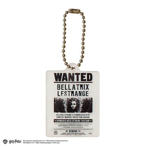 harry_potter_acrylic_charm_collection