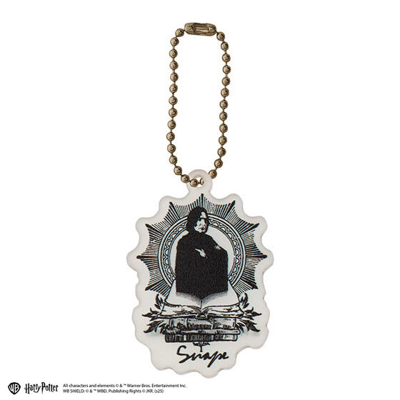 harry_potter_acrylic_charm_collection