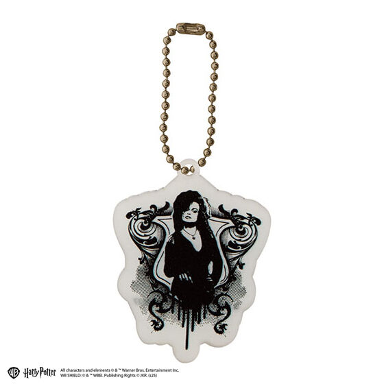 harry_potter_acrylic_charm_collection
