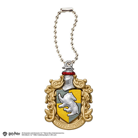 harry_potter_mirror_charm_collection