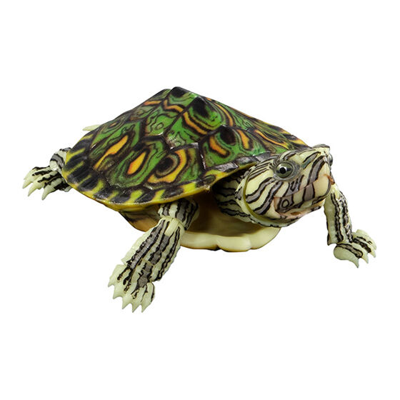 advance_turtle_01