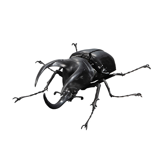 beetle04