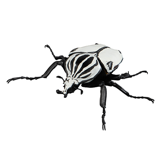 beetle04