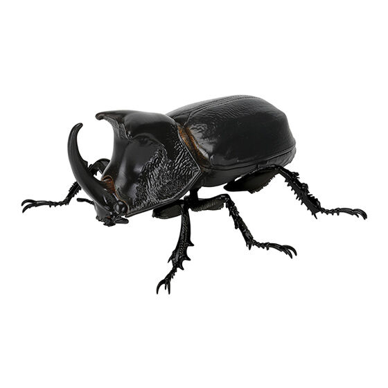 beetle_06