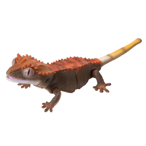 crested_gecko