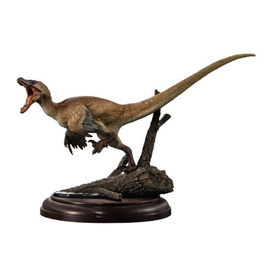 display_model_collection_dinosaur_02