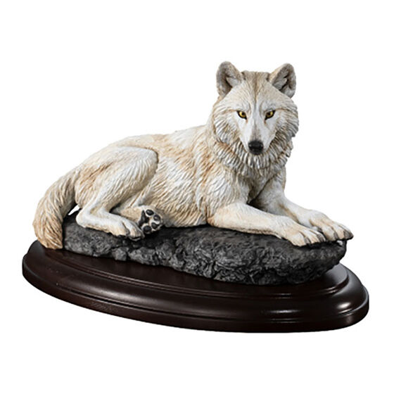 display_model_collection_wild_canine