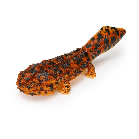 jp_giant_salamander_sxolotl