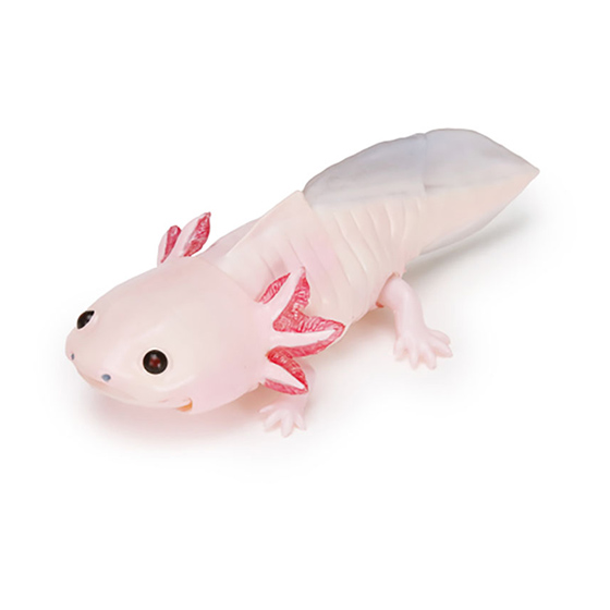 jp_giant_salamander_sxolotl