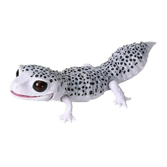 leopard_gecko_crested_gecko