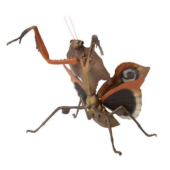mini_collction_insect02