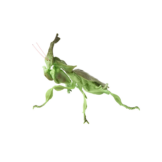 mini_collction_insect02