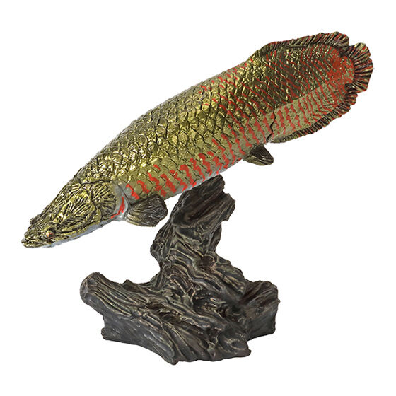 mini_collection_ancient_fish_2
