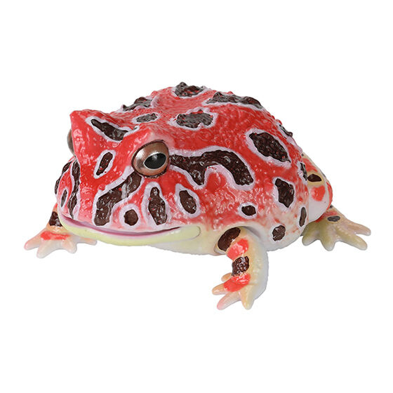 repti_lepidobatrachus_laevis_and_horned_frog