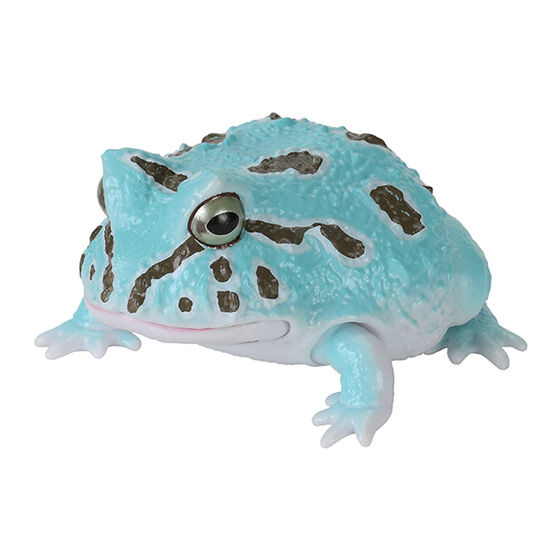 repti_lepidobatrachus_laevis_and_horned_frog