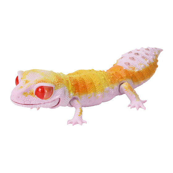 reptiles_smooth_knob-tailed_gecko_leopard_gecko