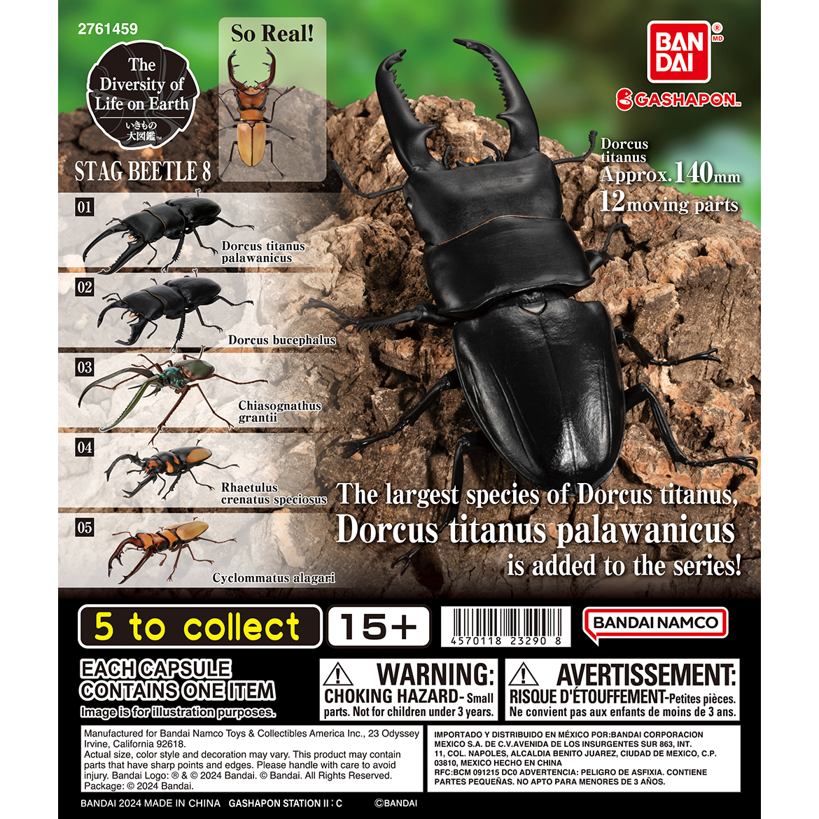 stag_beetle_8