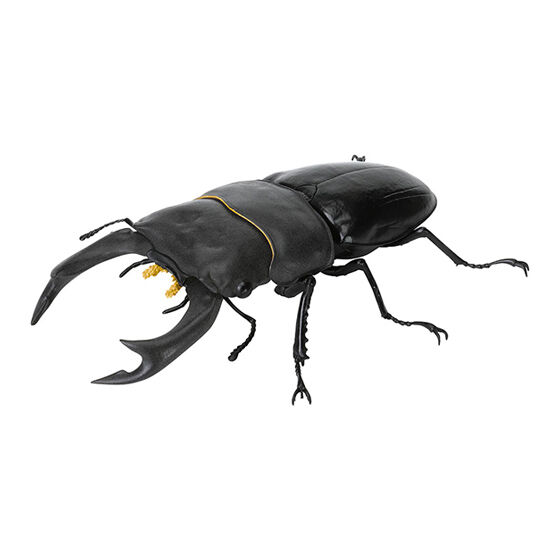 stag_beetle_9