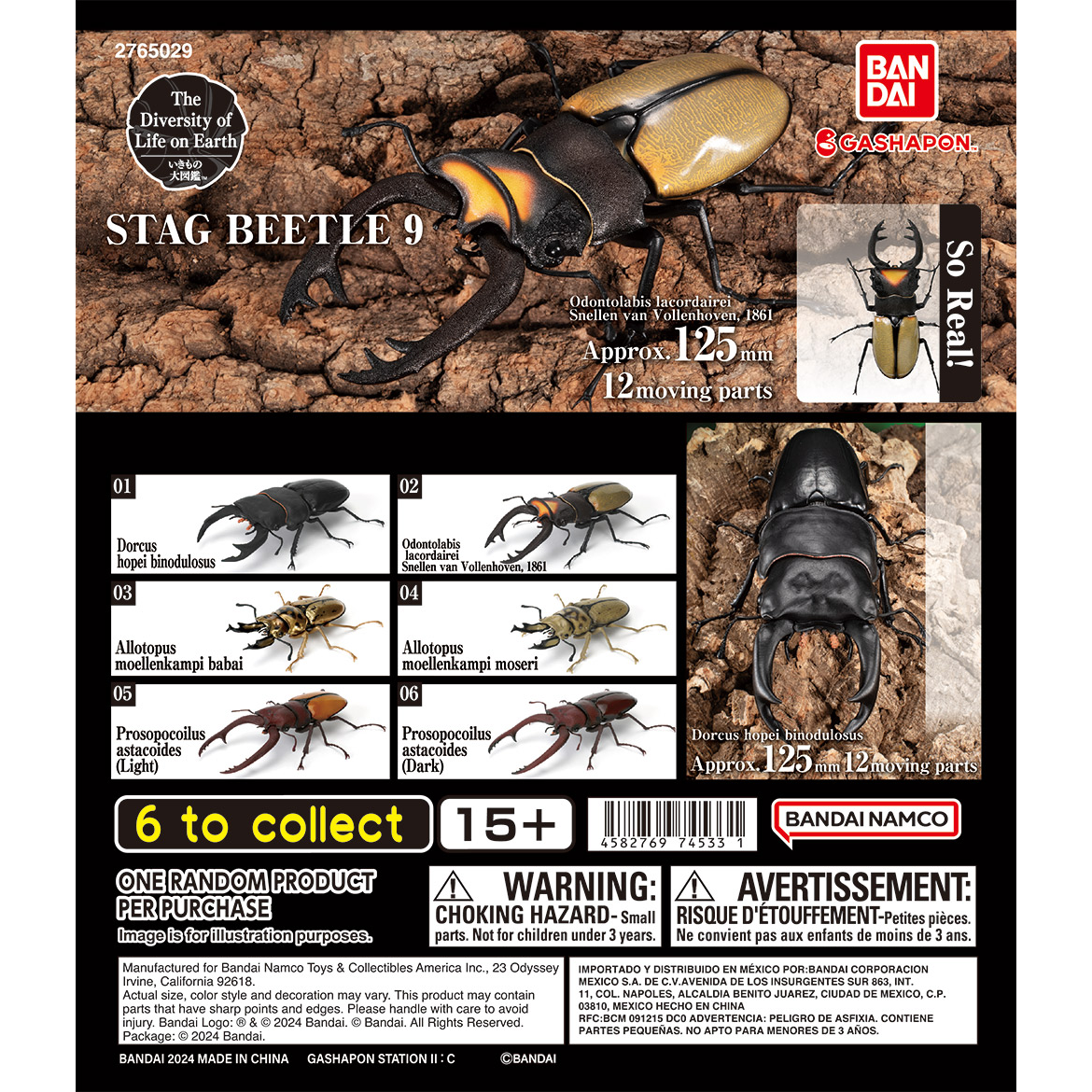 stag_beetle_9