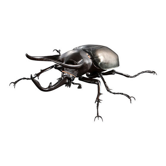 the_diversity_of_life_on_earth_advance_chalcosoma_chiron