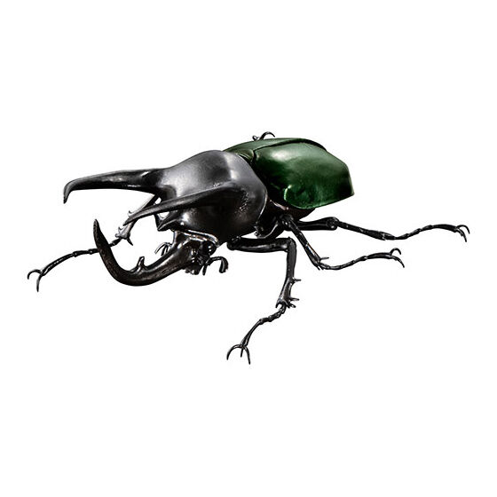 the_diversity_of_life_on_earth_advance_chalcosoma_chiron