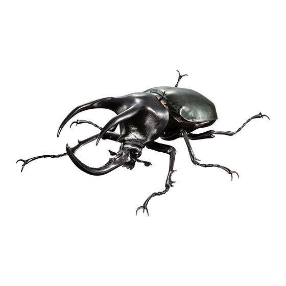 the_diversity_of_life_on_earth_advance_chalcosoma_chiron