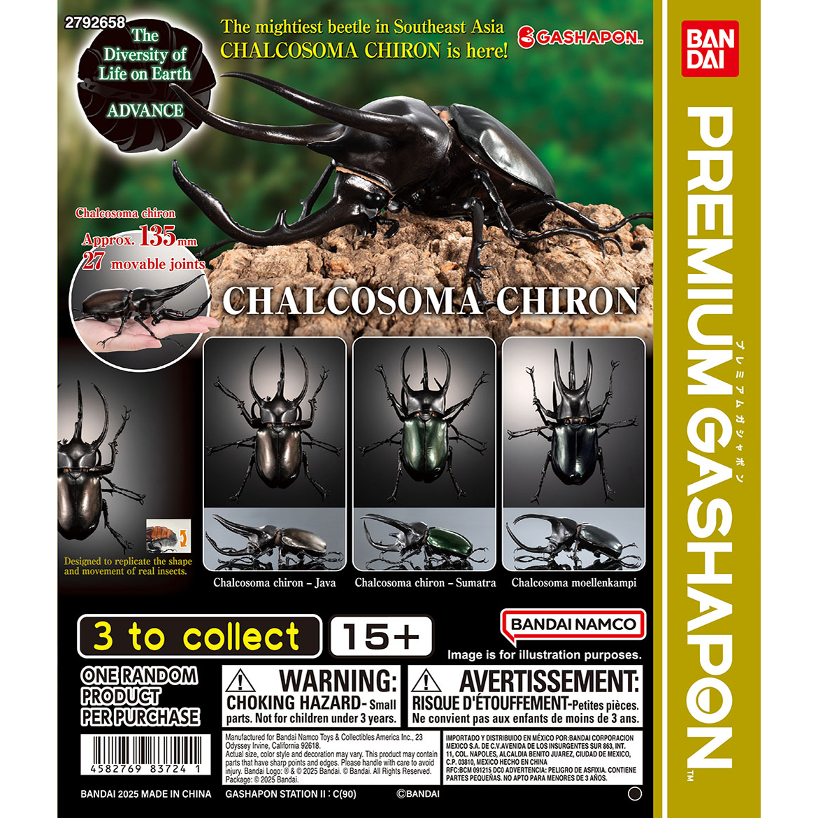 the_diversity_of_life_on_earth_advance_chalcosoma_chiron