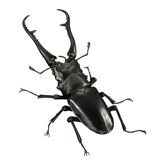 the_diversity_of_life_on_earth_advance_prosopocoilus_giraffa_and_hexarthrius_mandibularis