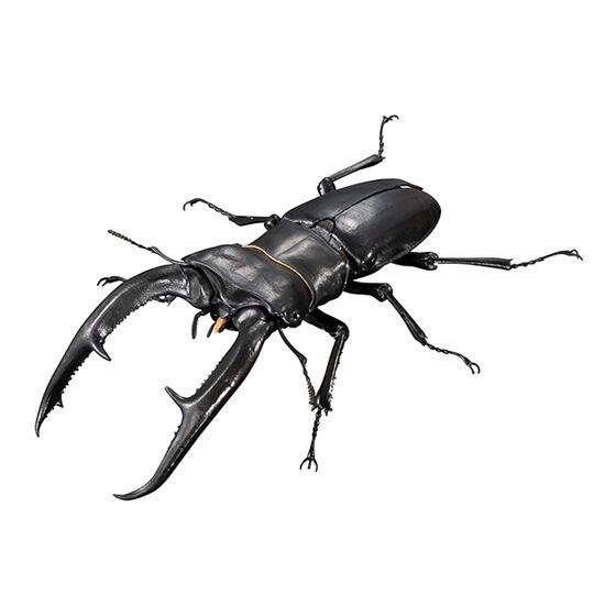the_diversity_of_life_on_earth_advance_prosopocoilus_giraffa_and_hexarthrius_mandibularis