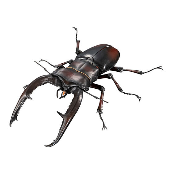the_diversity_of_life_on_earth_advance_prosopocoilus_giraffa_and_hexarthrius_mandibularis
