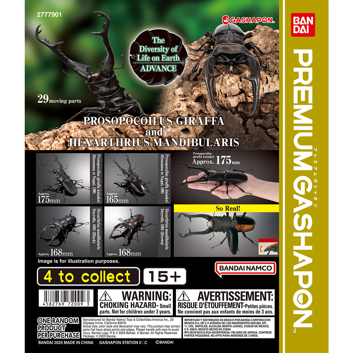 the_diversity_of_life_on_earth_advance_prosopocoilus_giraffa_and_hexarthrius_mandibularis