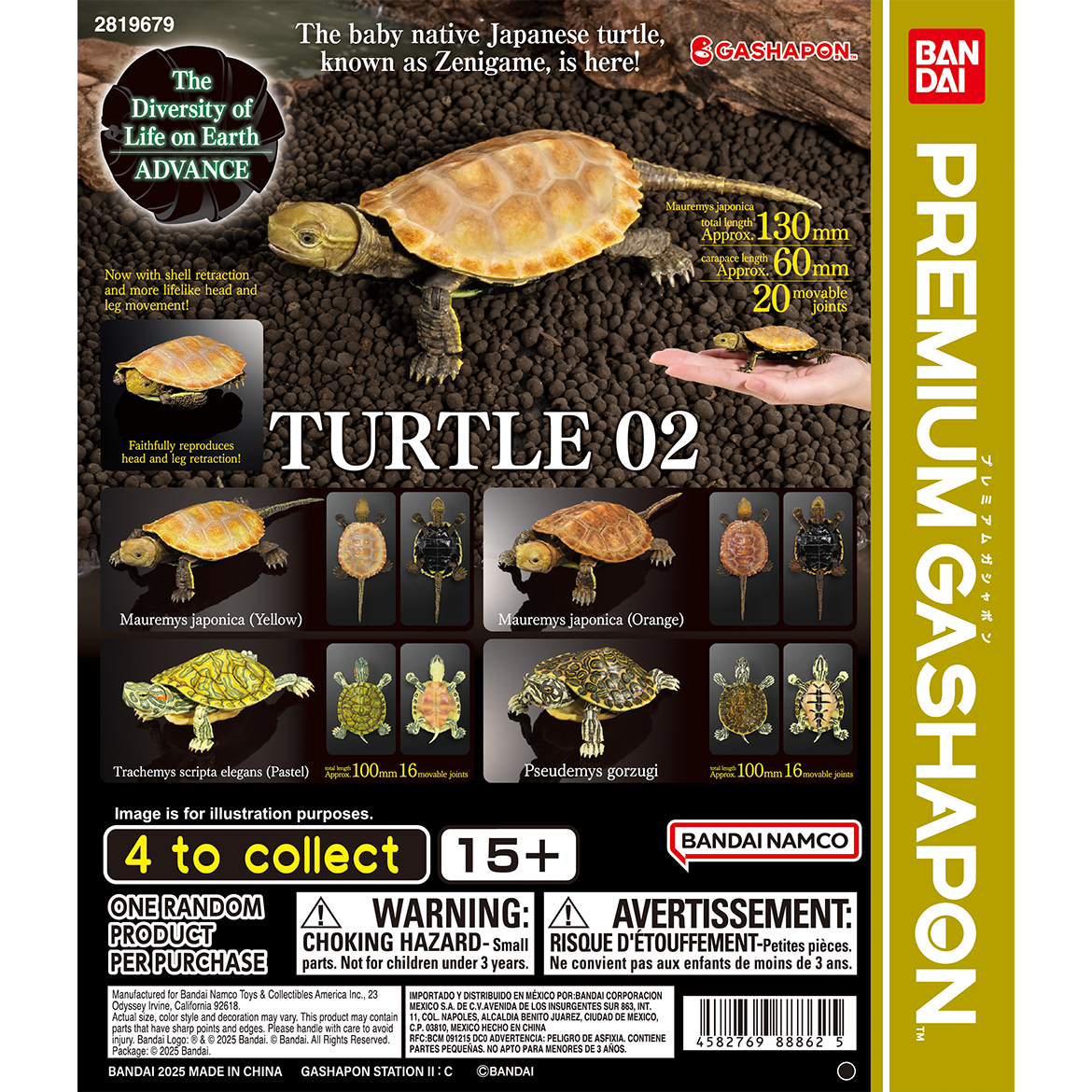 the_diversity_of_life_on_earth_advance_turtle_02