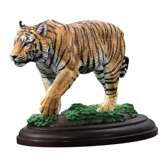 the_diversity_of_life_on_earth_display_model_collection_wild_felines