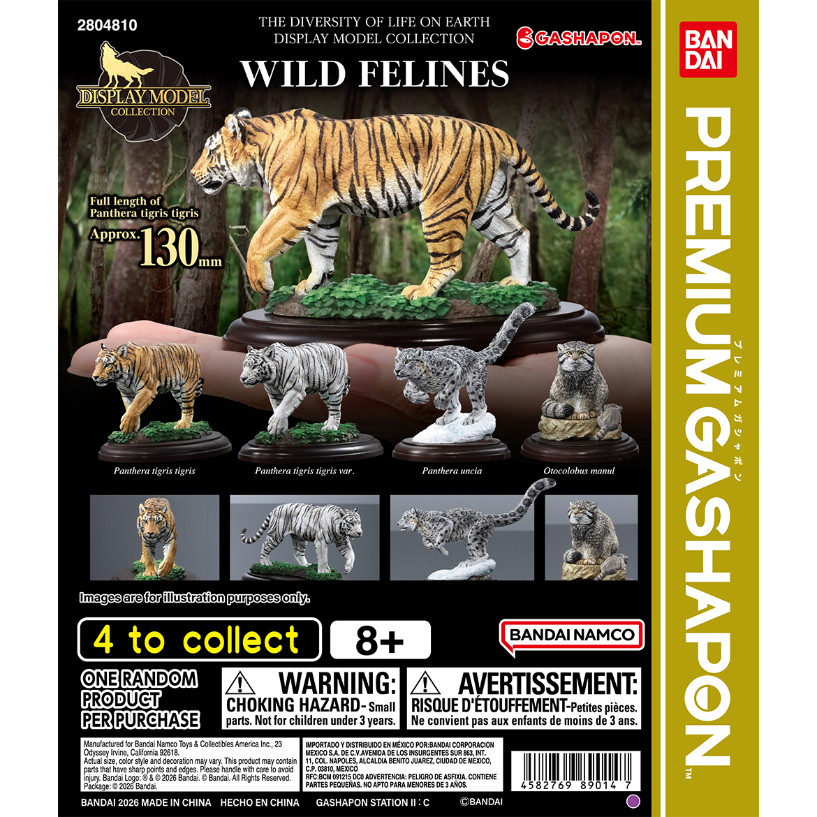 the_diversity_of_life_on_earth_display_model_collection_wild_felines