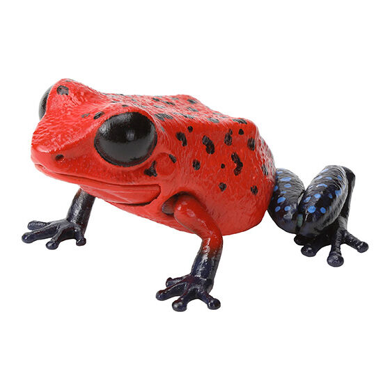 the_diversity_of_life_on_earth_repti_dendrobatidae