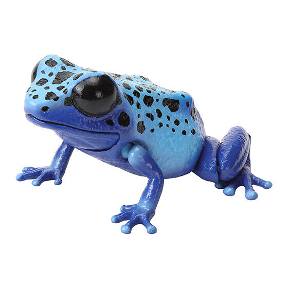 the_diversity_of_life_on_earth_repti_dendrobatidae