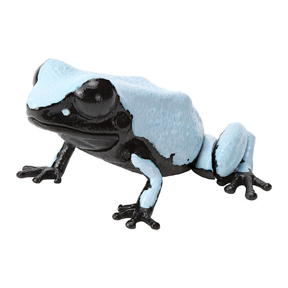 the_diversity_of_life_on_earth_repti_dendrobatidae