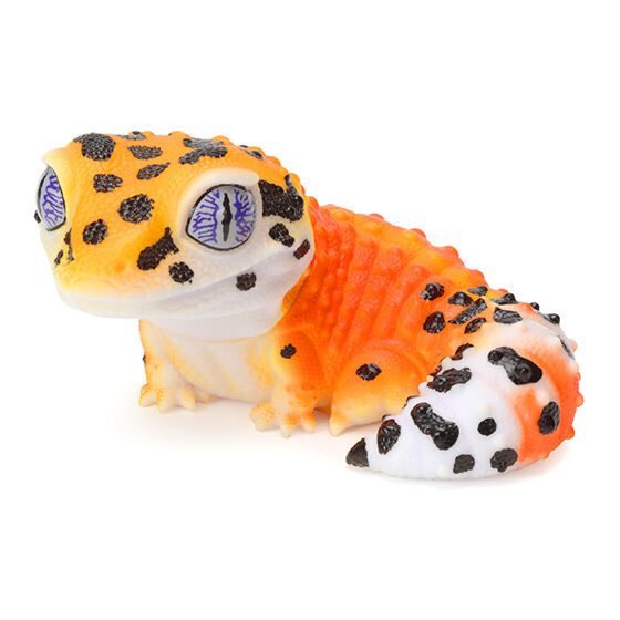 the_diversity_of_life_on_earth_sofvi_collection_leopard_gecko_&_crested_gecko