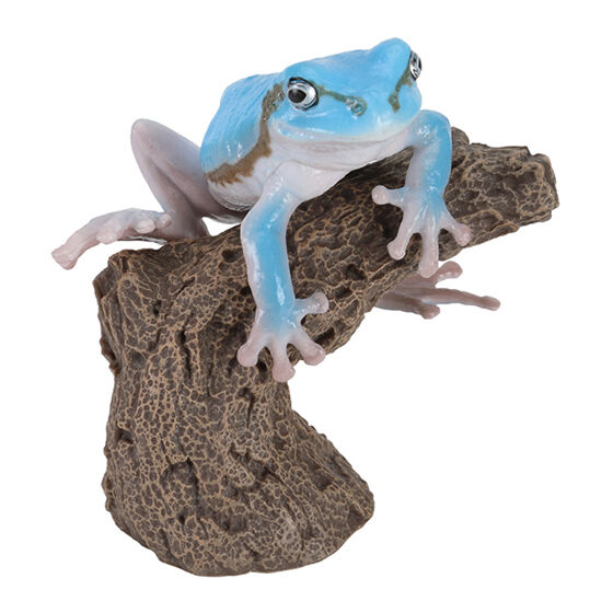 tree_frog_and_milky_tree_frog