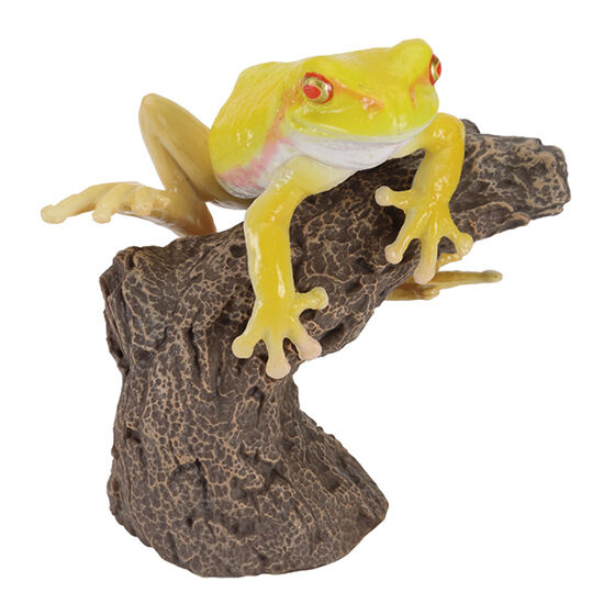 tree_frog_and_milky_tree_frog