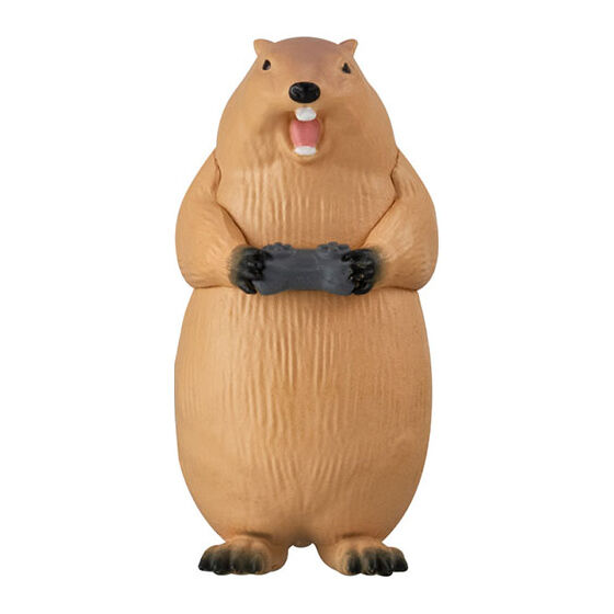 animal_gamer