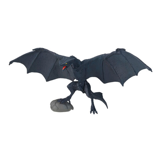 hg_gamera_3