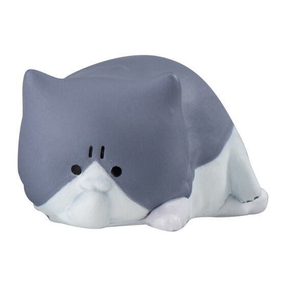 irritated_fluffy_meowment