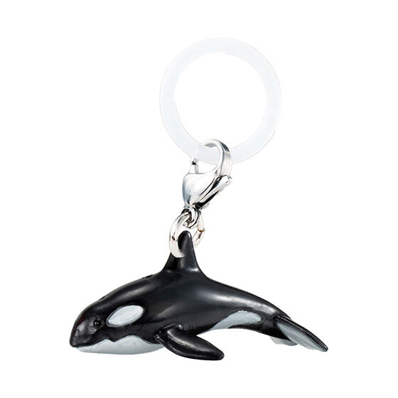 personal_marker_charm_marine_animals_3