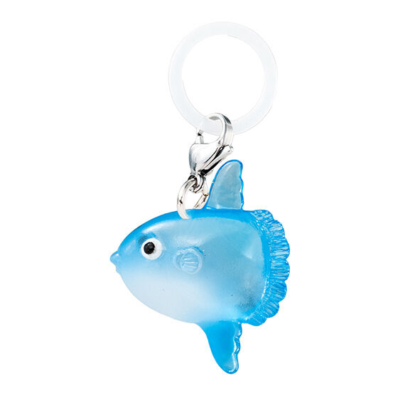 personal_marker_charm_marine_animals_3