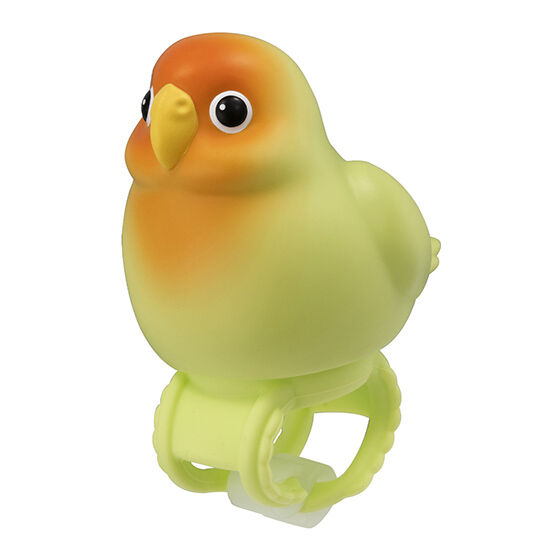 sofvi_personal_marker_band_bird